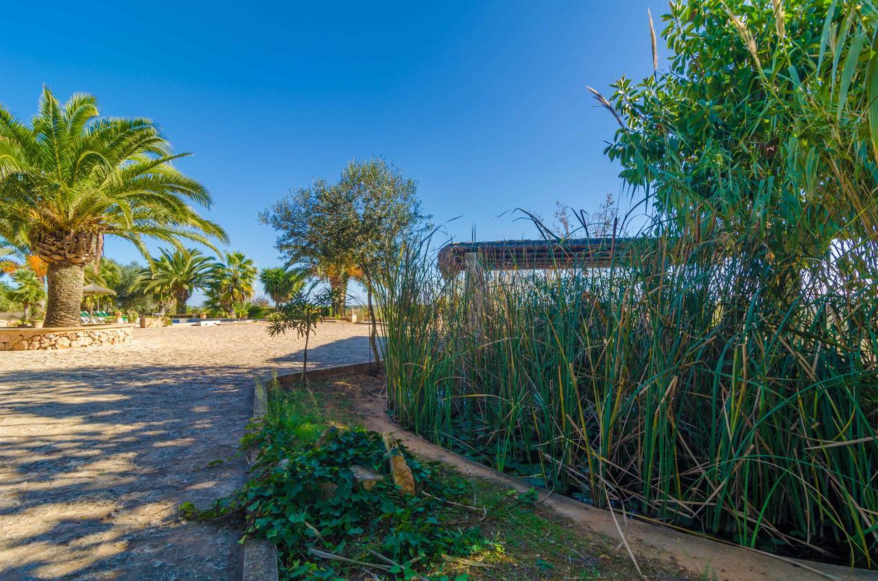 Villa Es Turo Alquería Blanca