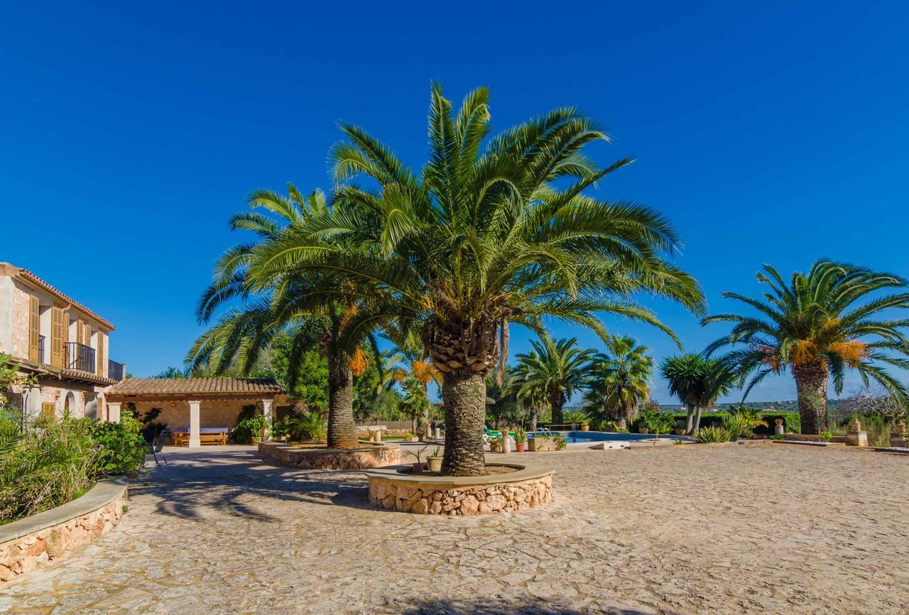 Villa Es Turo